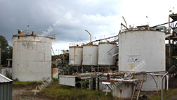 500d/t CIPѡ
