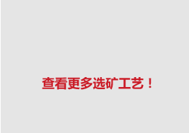 ѡ